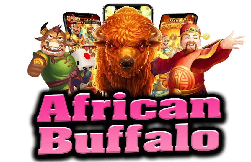 african buffalo